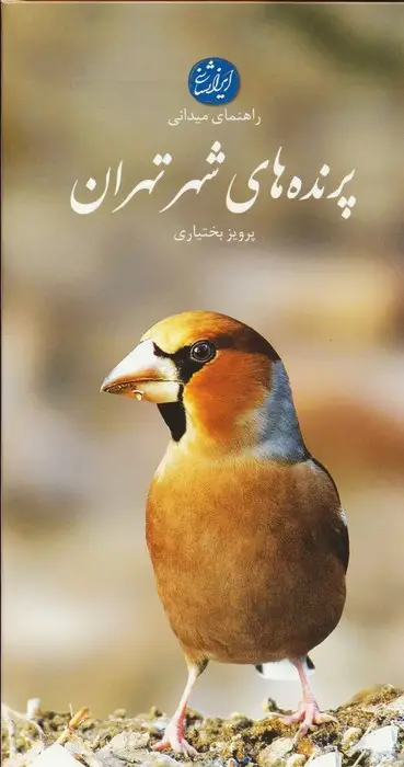 جلد کتاب پرنده های شهر تهران (راهنمای میدانی)،(گلاسه)