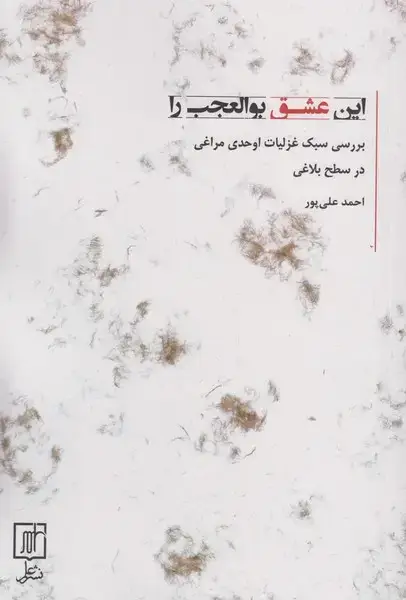 جلد کتاب این عشق بوالعجب را