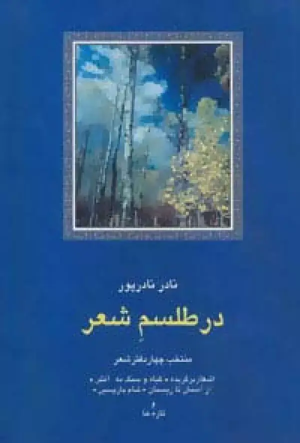 جلد کتاب در طلسم شعر:منتخب چهار دفتر شعر (شعر معاصر ایران13)