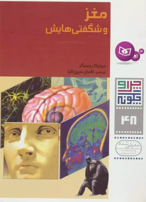جلد کتاب چرا و چگونه48 (مغز و شگفتی هایش)