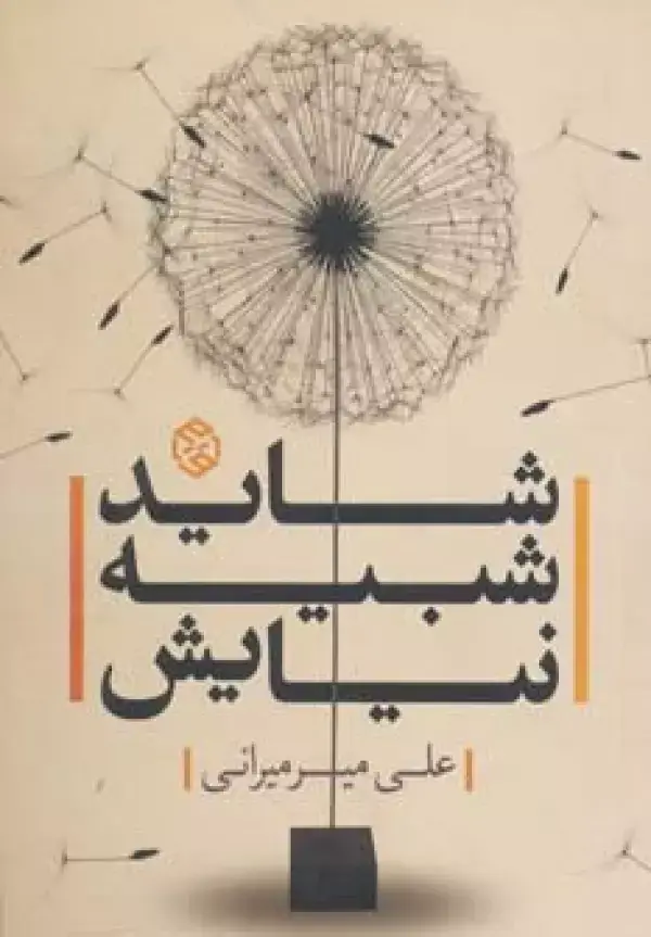 جلد کتاب شاید شبیه نیایش