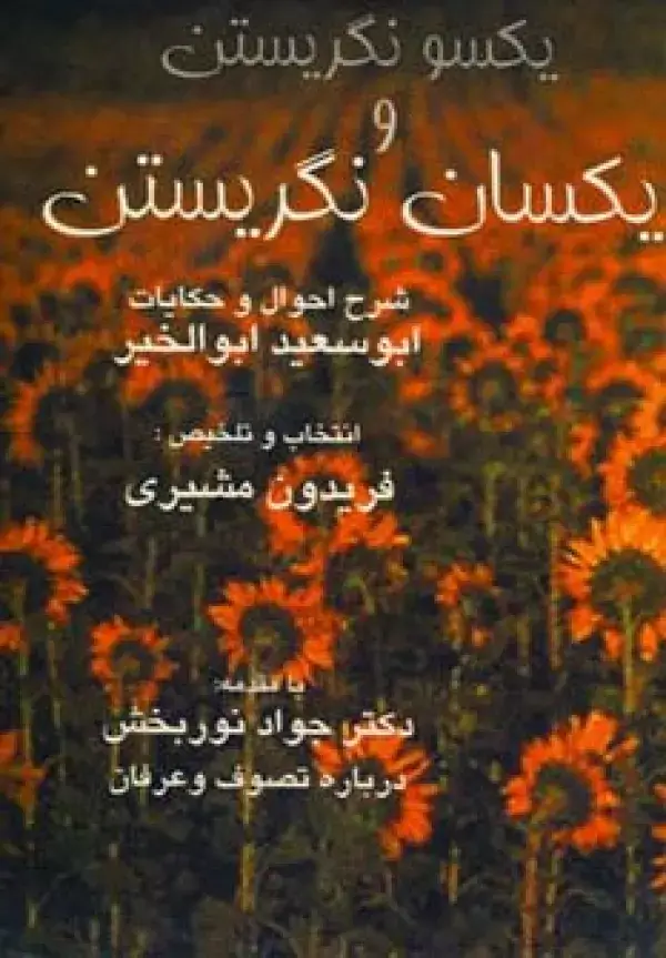 جلد کتاب یکسو نگریستن و یکسان نگریستن