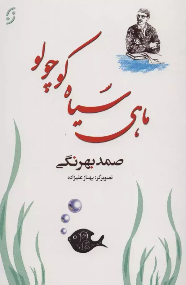 جلد کتاب ماهی سیاه کوچولو