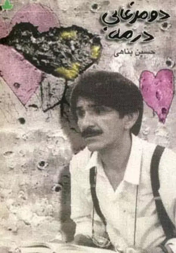 جلد کتاب دو مرغابی در مه