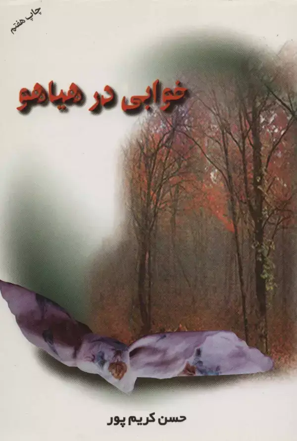 جلد کتاب خوابی در هیاهو