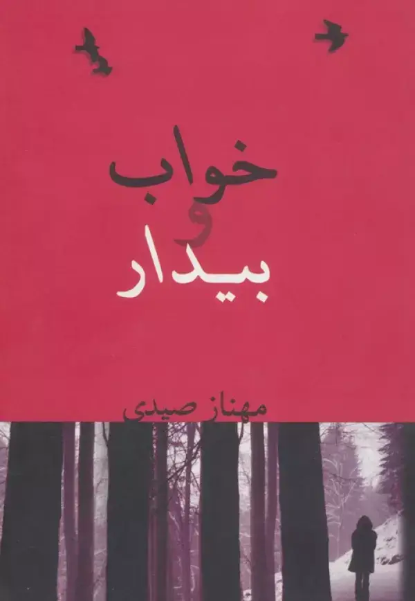 جلد کتاب خواب و بیدار