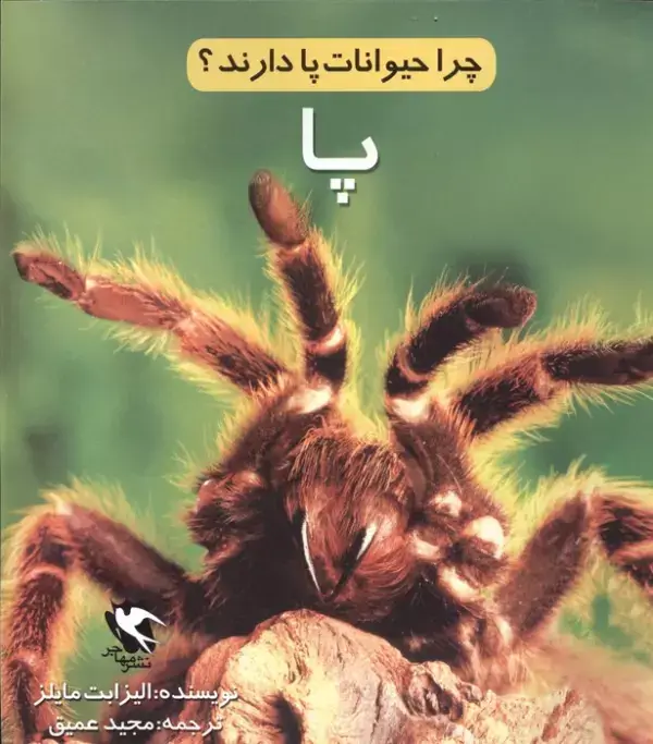جلد کتاب چرا حیوانات پا دارند؟ (پا)،(گلاسه)
