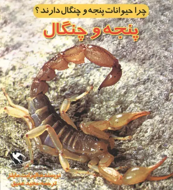 جلد کتاب چرا حیوانات پنجه و چنگال دارند؟ (پنجه و چنگال)،(گلاسه)