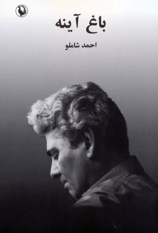 جلد کتاب باغ آینه