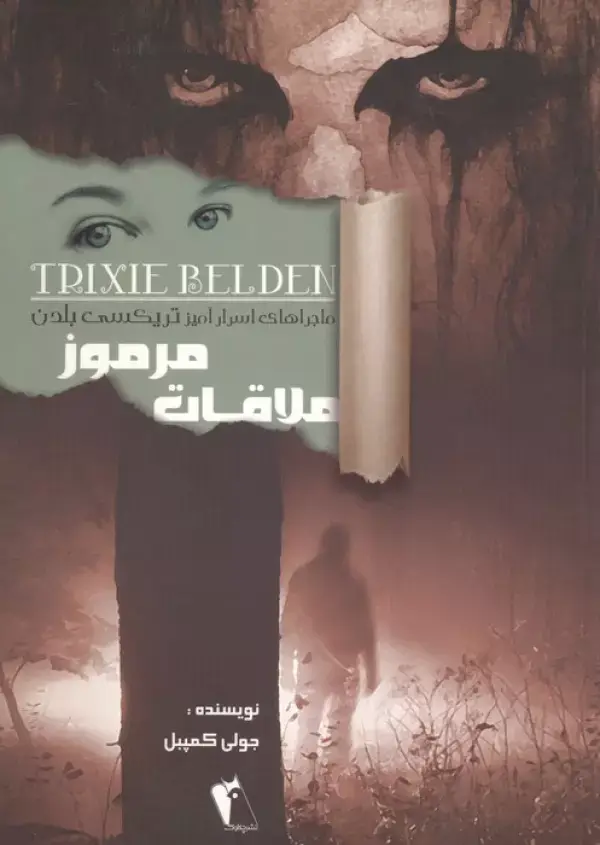 جلد کتاب ملاقات مرموز (ماجراهای اسرارآمیز تریکسی بلدن)