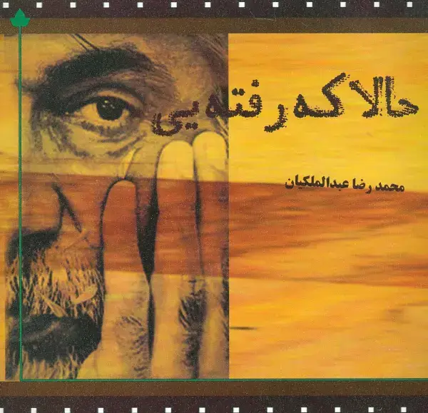 جلد کتاب حالا که رفته یی