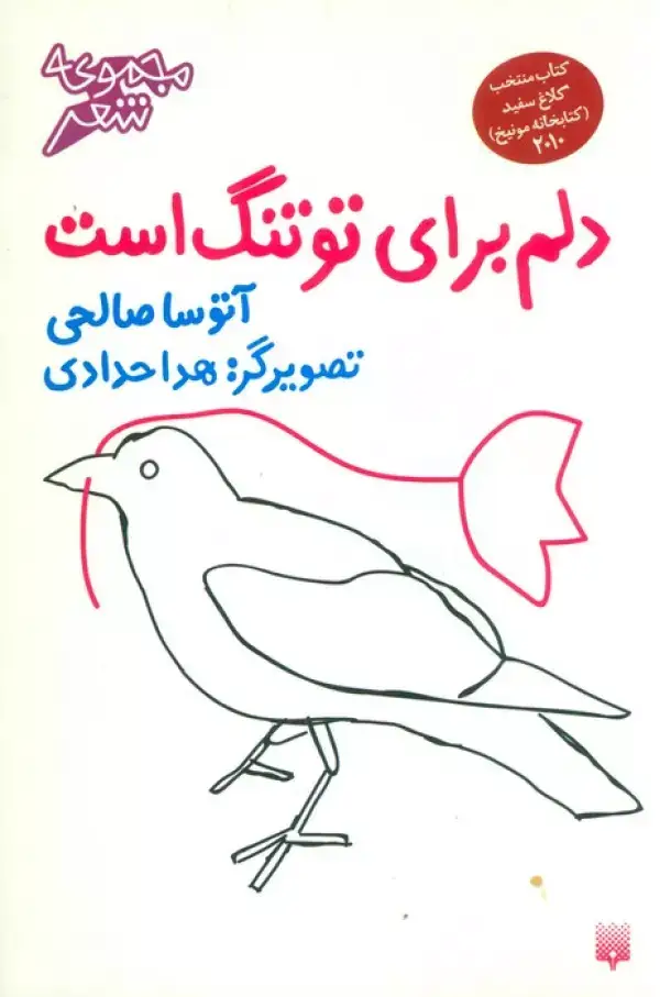 جلد کتاب دلم برای تو تنگ است (گلاسه)