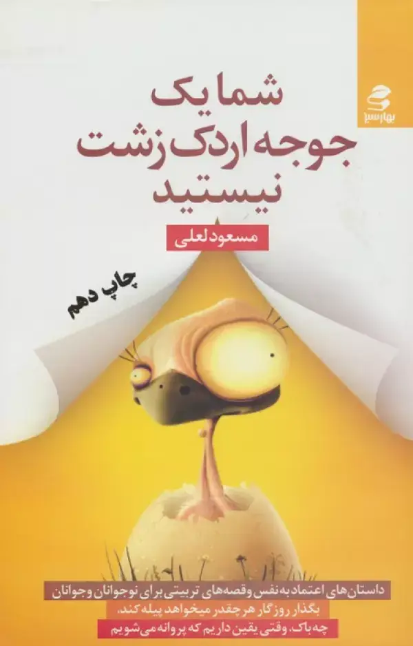 جلد کتاب شما یک جوجه اردک زشت نیستید (داستان های اعتماد به نفس و قصه های تربیتی برای نوجوانان و جوانان)