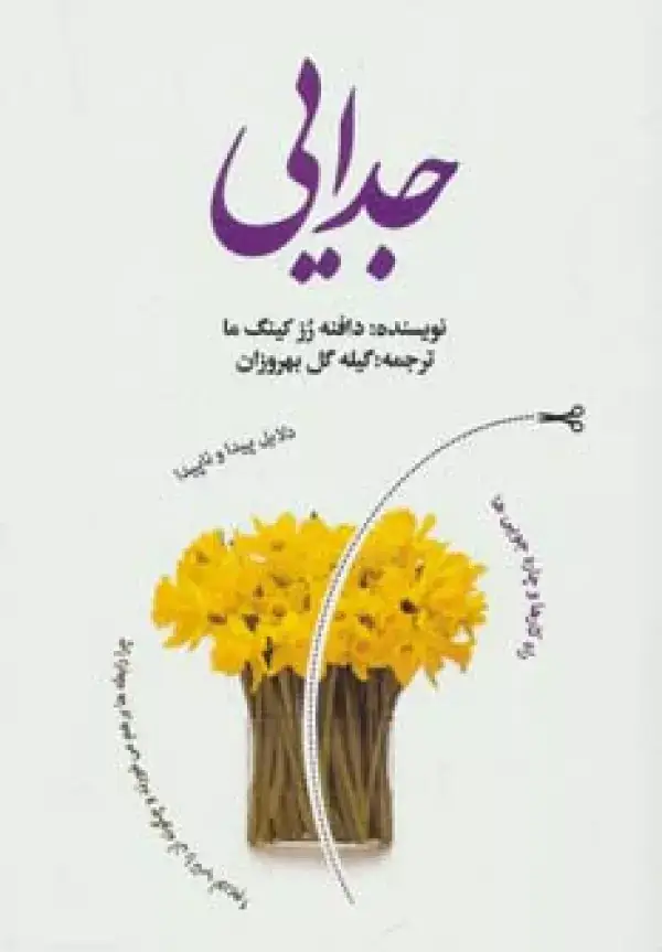جلد کتاب جدایی (دلایل پیدا و ناپیدا،راه کارها و چاره جویی ها)