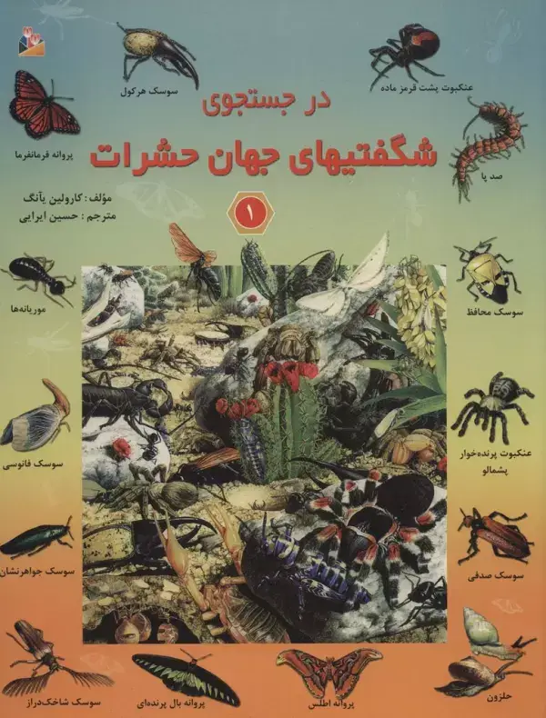 جلد کتاب در جستجوی شگفتیهای جهان حشرات 1