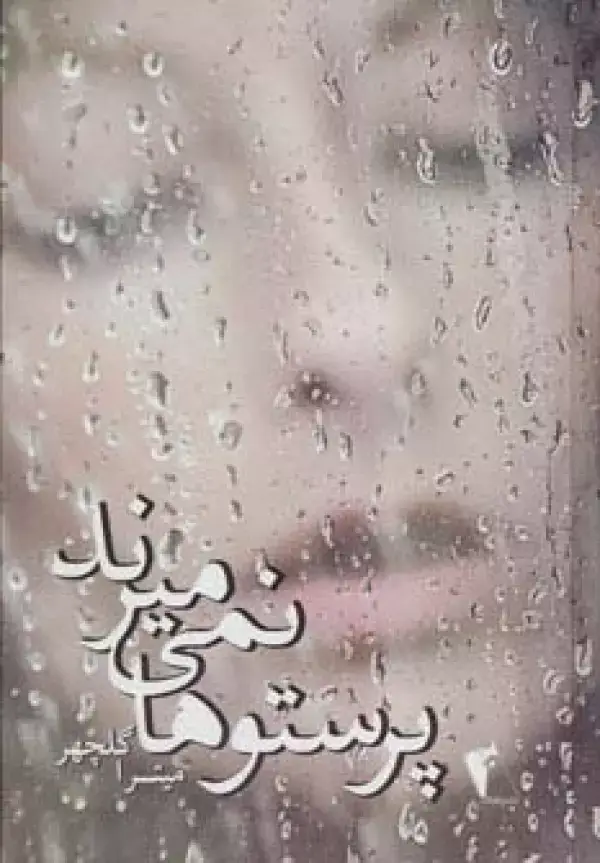 جلد کتاب پرستوها نمی میرند