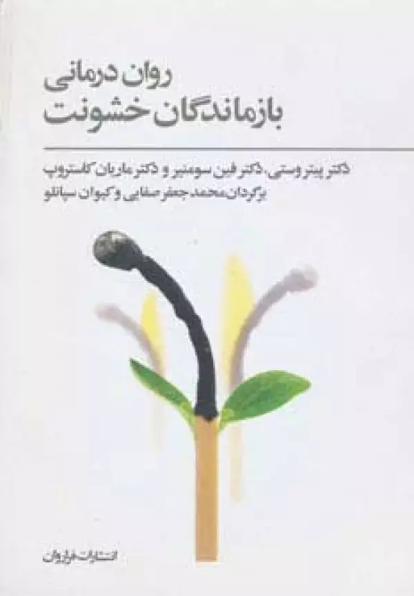 جلد کتاب روان درمانی بازماندگان خشونت