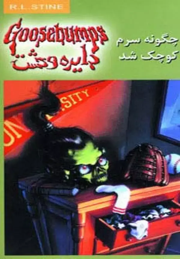 جلد کتاب دایره وحشت19 (چگونه سرم کوچک شد)