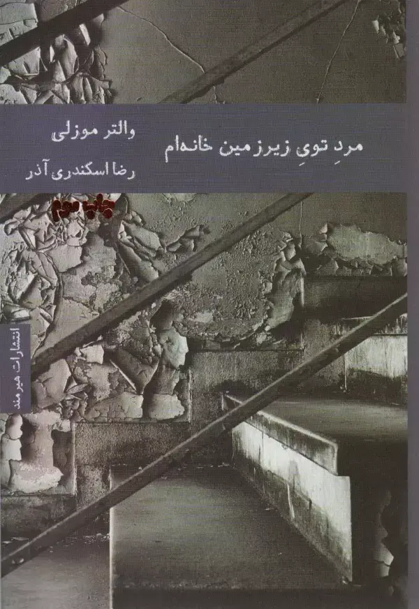 جلد کتاب مرد توی زیرزمین خانه ام