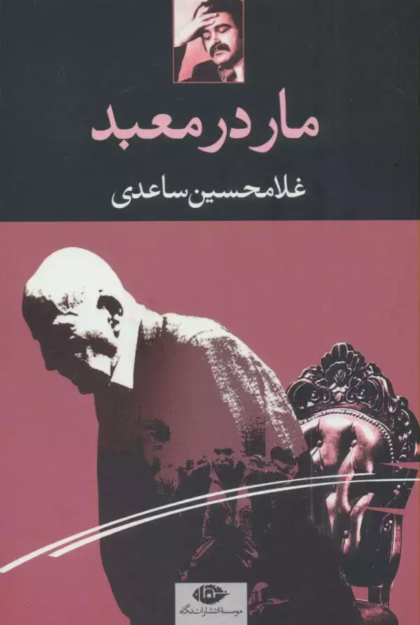 جلد کتاب مار در معبد