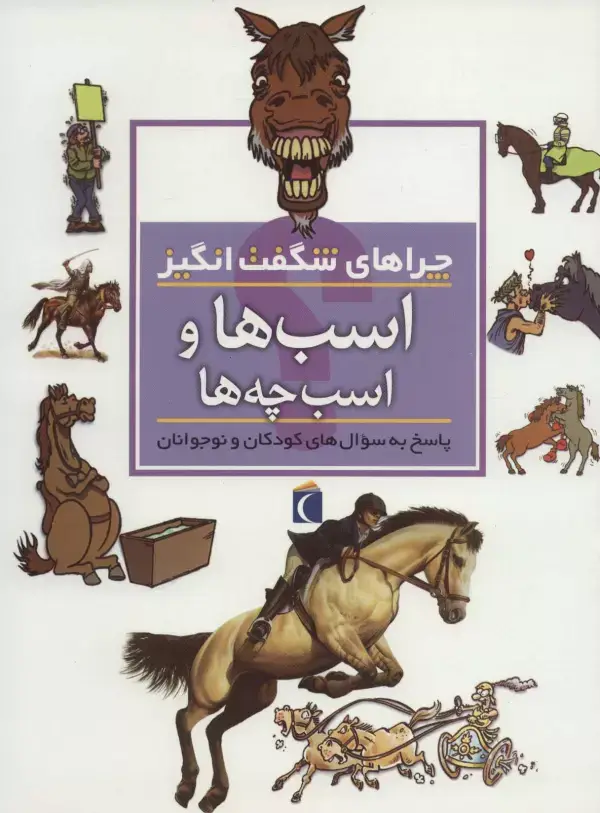 جلد کتاب اسب ها و اسب چه ها (چراهای شگفت انگیز)