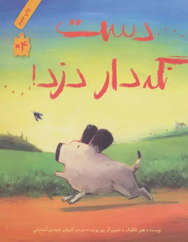 جلد کتاب دست نگه دار دزد! (داستان هایی برای فکر کردن)