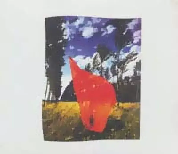 جلد کتاب ای کاش اینجا بودی (Pink Floyd،Wish You Were Here)،(سی دی صوتی)،(باقاب)