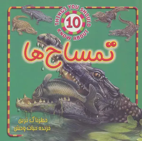 جلد کتاب تمساح ها (خطرناک ترین خزنده حیات وحش)،(گلاسه)