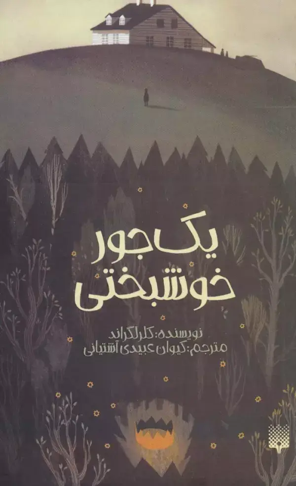 جلد کتاب یک جور خوشبختی