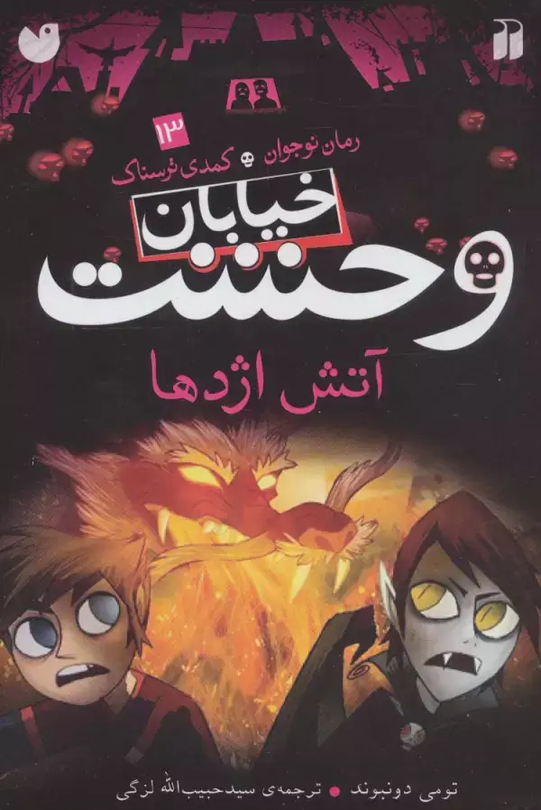 جلد کتاب خیابان وحشت13 (آتش اژدها)