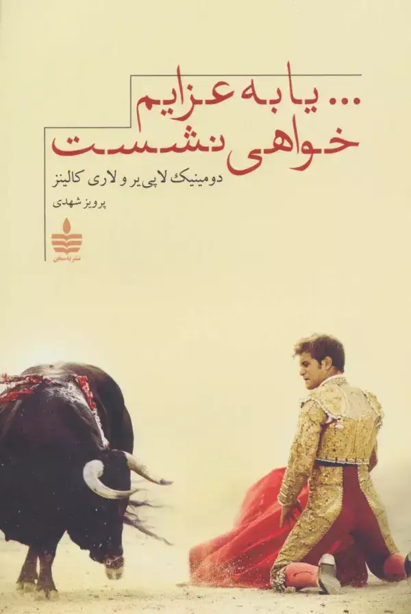 جلد کتاب ...یا به عزایم خواهی نشست