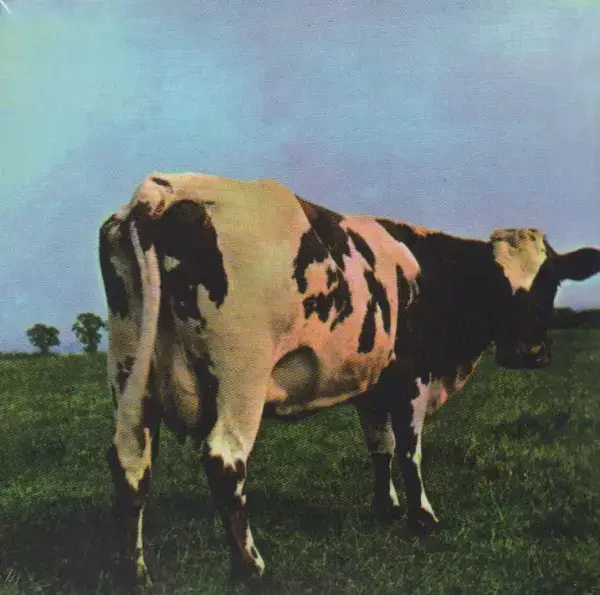 جلد کتاب مادر قلب اتمی (Pink Floyd،Atom Heart Mother)،(سی دی صوتی)،(باقاب)
