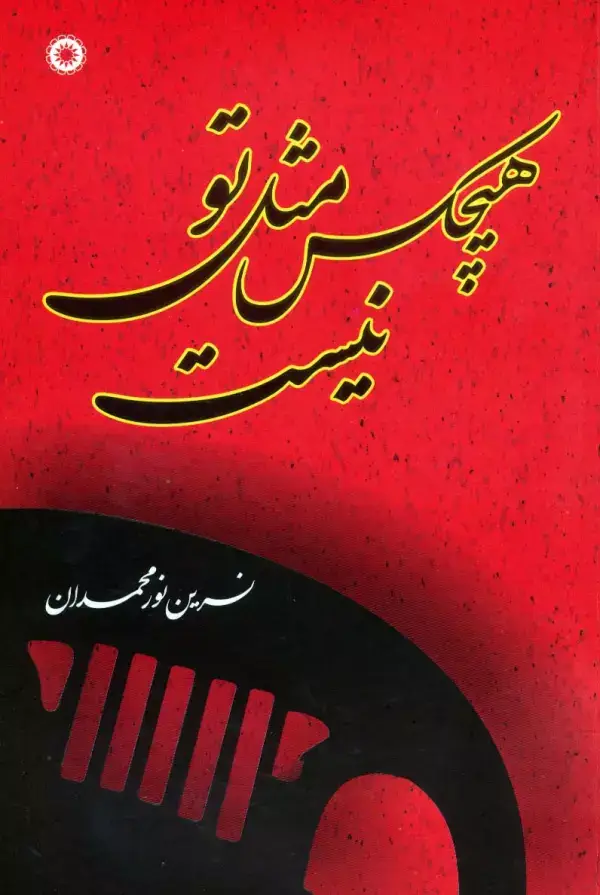 جلد کتاب هیچکس مثل تو نیست