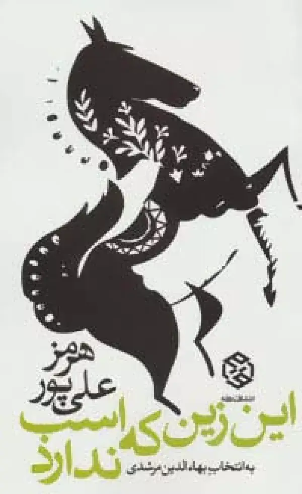 جلد کتاب این زین که اسب ندارد
