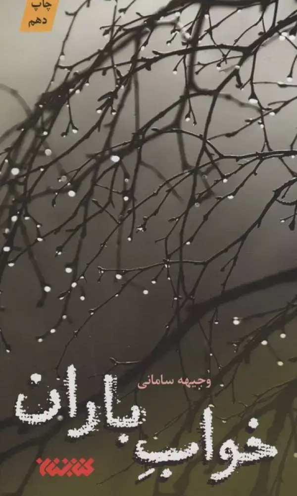 جلد کتاب خواب باران