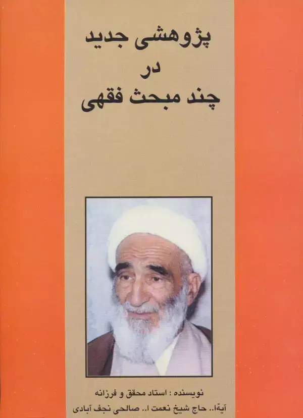 جلد کتاب پژوهشی جدید در چند مبحث فقهی