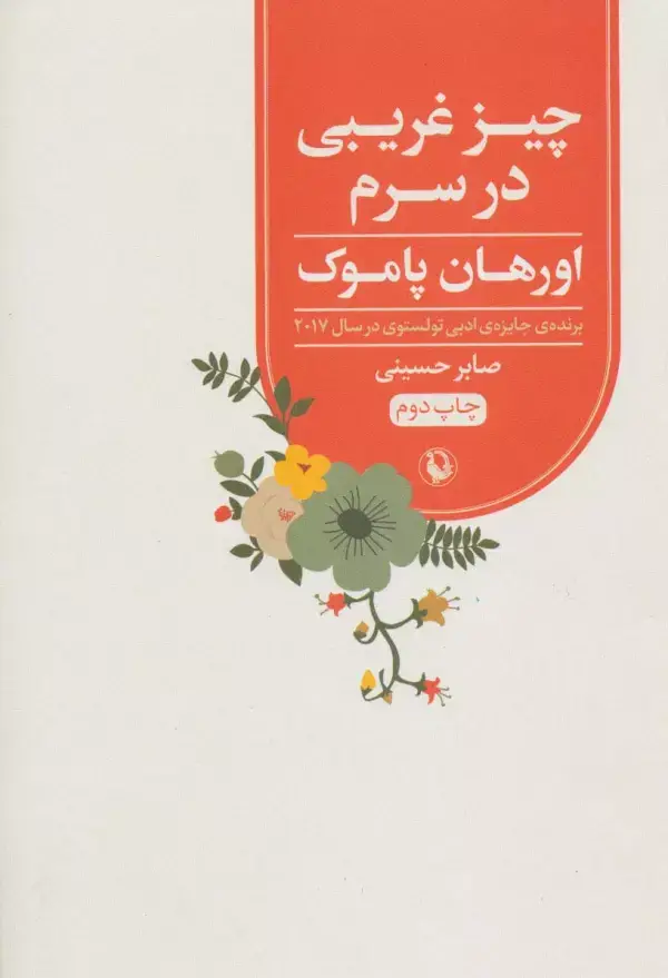 جلد کتاب چیز غریبی در سرم