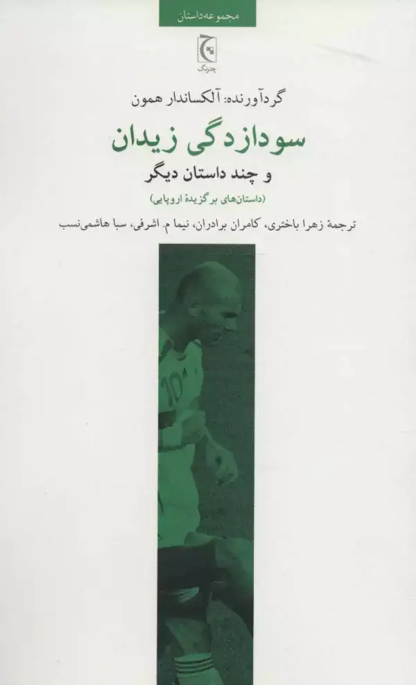 جلد کتاب سودازدگی زیدان و چند داستان دیگر (داستان های برگزیده اروپایی)