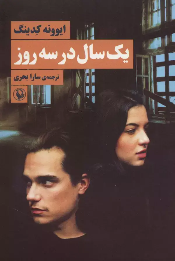 جلد کتاب یک سال در سه روز