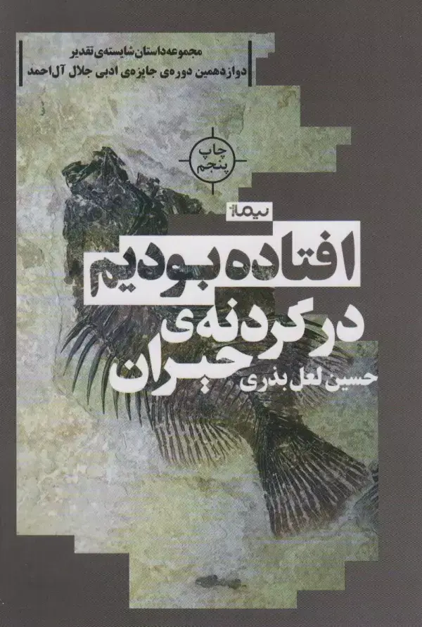 جلد کتاب افتاده بودیم در گردنه ی حیران (کتاب بوف)