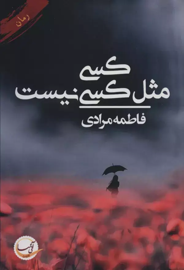 جلد کتاب کسی مثل کسی نیست