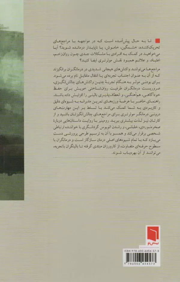 جلد کتاب پرورش مهارت های درونی روان درمانی (راهنمای تمرین مدبرانه)