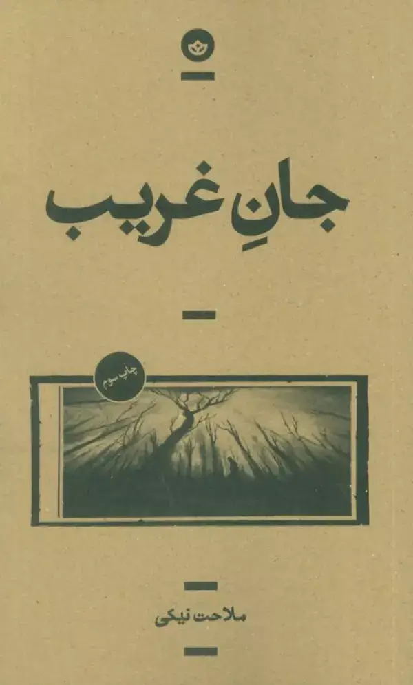 جلد کتاب جان غریب (راوی 6)