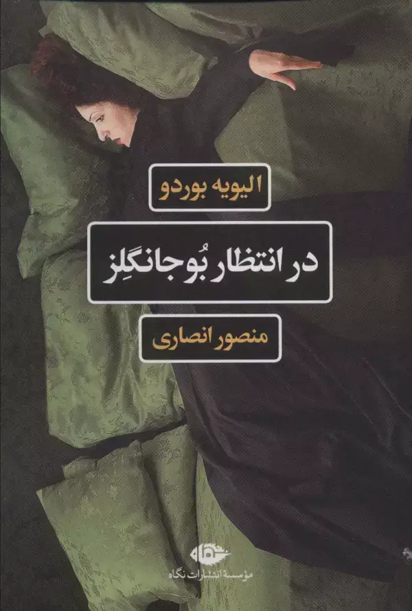 جلد کتاب در انتظار بوجانگلز