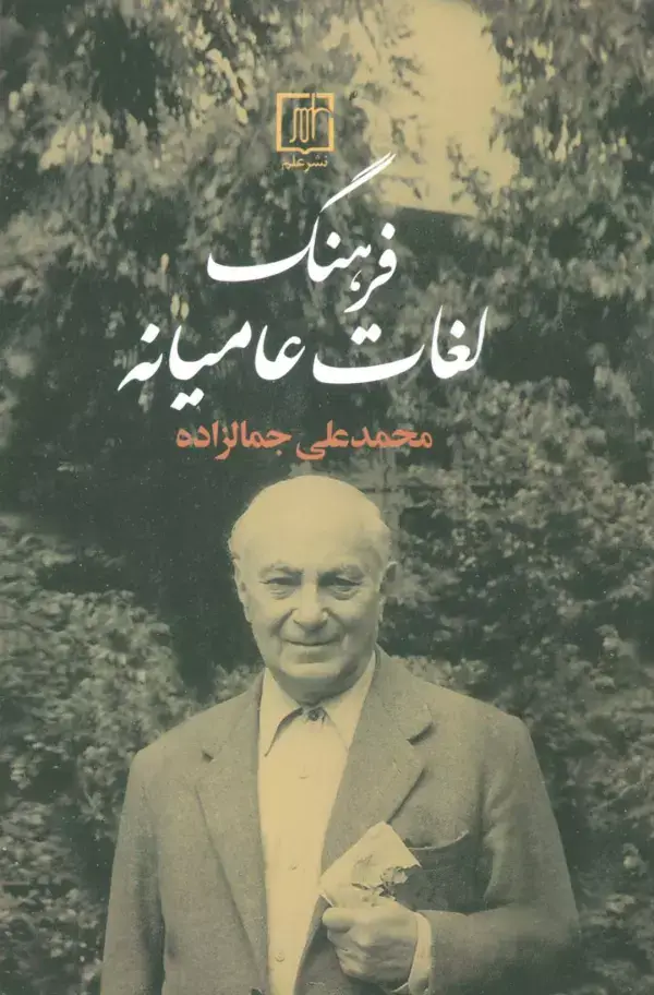 جلد کتاب فرهنگ لغات عامیانه