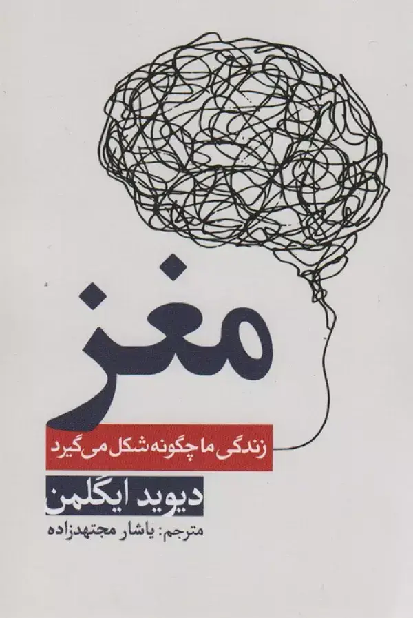 جلد کتاب مغز (زندگی ما چگونه شکل میگیرد)