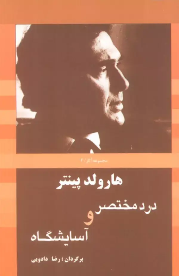 جلد کتاب درد مختصر و آسایشگاه