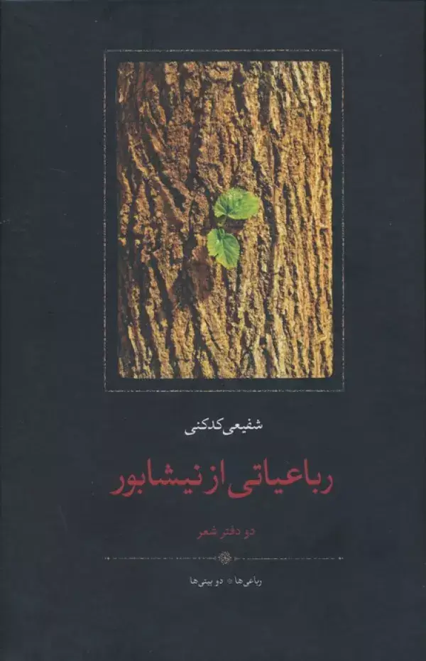 جلد کتاب رباعیاتی از نیشابور (دو دفتر شعر:رباعی ها،دو بیتی ها)
