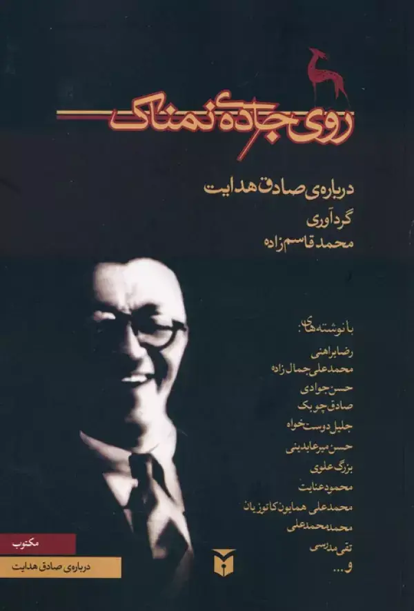 جلد کتاب روی جاده ی نمناک (درباره ی صادق هدایت)