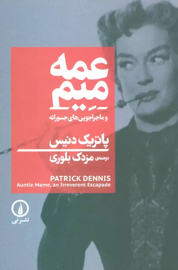جلد کتاب عمه میم و ماجراجویی های جسورانه